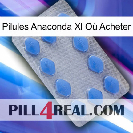 Pilules Anaconda Xl Où Acheter 21